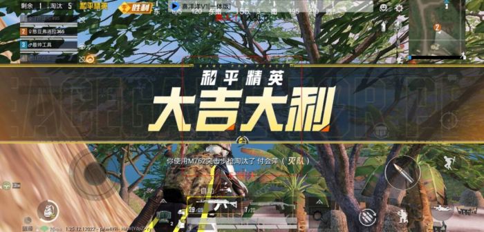 和平精英免费开科技软件 - 无卡密0门槛上手体验
